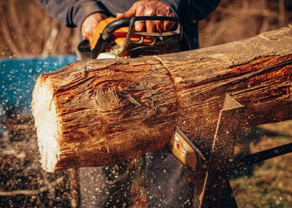 body position adjusted while cutting a log with a chainsaw